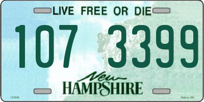 NH license plate 1073399