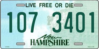 NH license plate 1073401