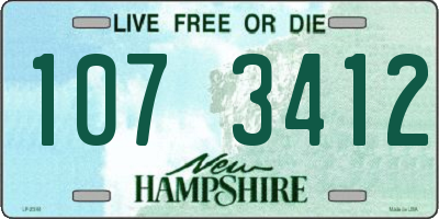 NH license plate 1073412