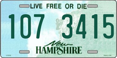 NH license plate 1073415