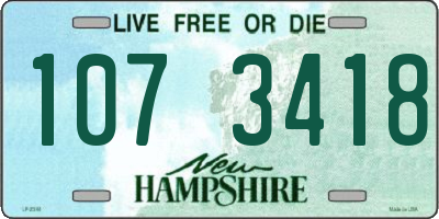 NH license plate 1073418