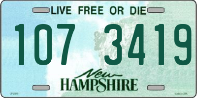 NH license plate 1073419