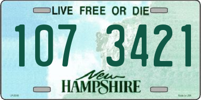 NH license plate 1073421