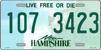 NH license plate 1073423
