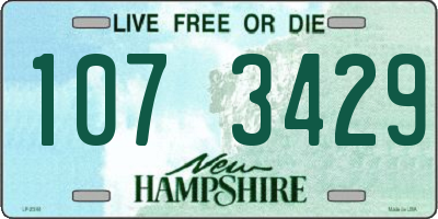 NH license plate 1073429