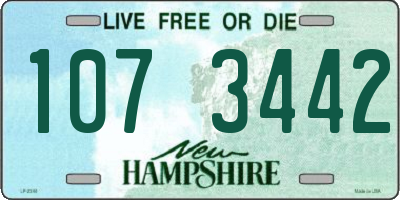 NH license plate 1073442