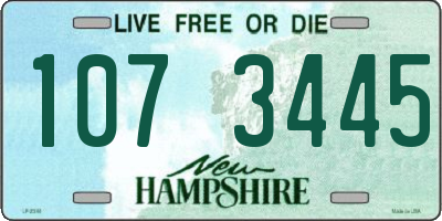 NH license plate 1073445
