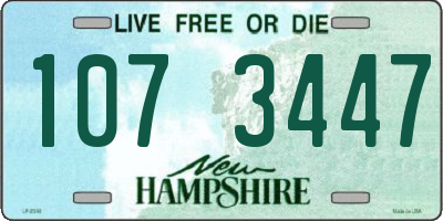 NH license plate 1073447