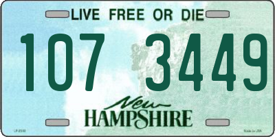 NH license plate 1073449