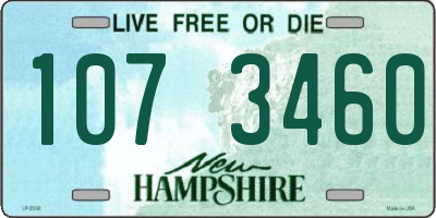NH license plate 1073460
