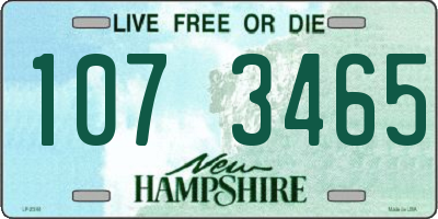 NH license plate 1073465