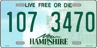 NH license plate 1073470