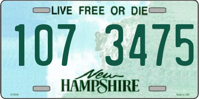 NH license plate 1073475