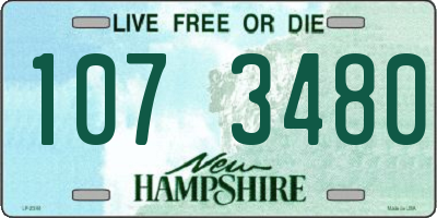 NH license plate 1073480