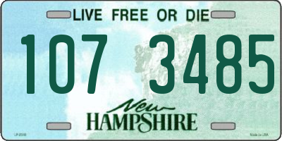NH license plate 1073485
