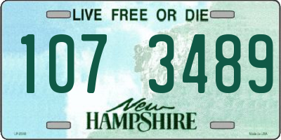 NH license plate 1073489