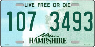 NH license plate 1073493