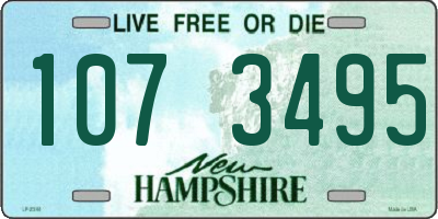 NH license plate 1073495