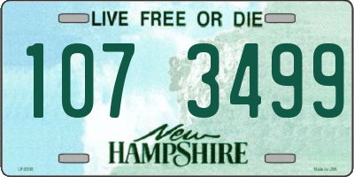 NH license plate 1073499