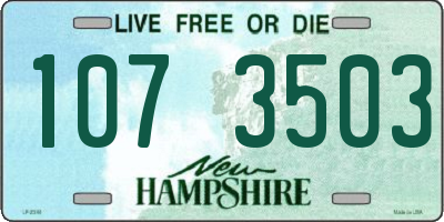 NH license plate 1073503