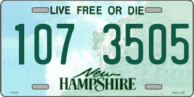 NH license plate 1073505