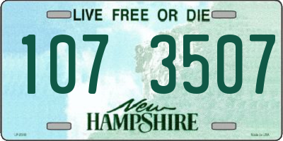 NH license plate 1073507
