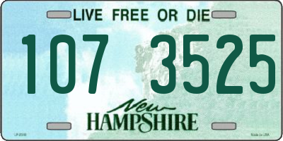 NH license plate 1073525