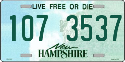 NH license plate 1073537