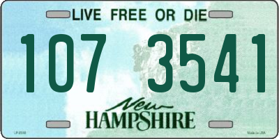 NH license plate 1073541
