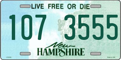 NH license plate 1073555