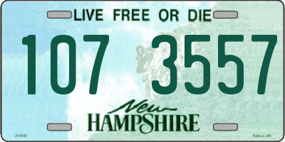 NH license plate 1073557