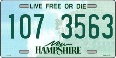 NH license plate 1073563