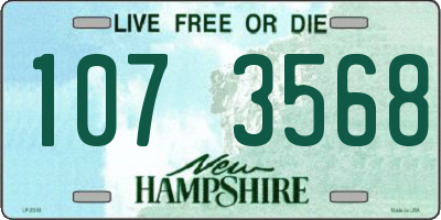 NH license plate 1073568