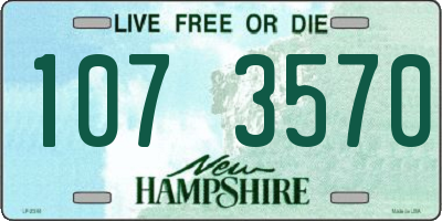 NH license plate 1073570