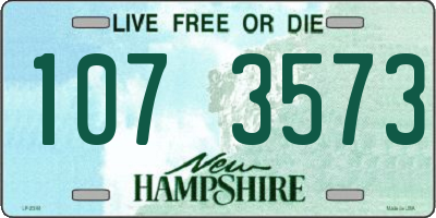 NH license plate 1073573