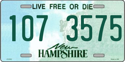 NH license plate 1073575