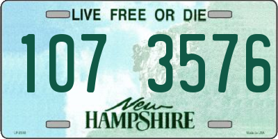 NH license plate 1073576