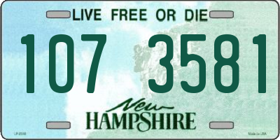 NH license plate 1073581