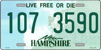 NH license plate 1073590