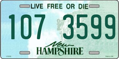 NH license plate 1073599