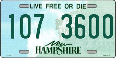 NH license plate 1073600