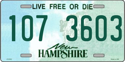 NH license plate 1073603