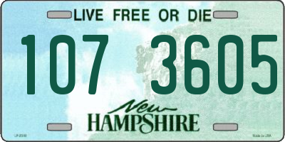 NH license plate 1073605