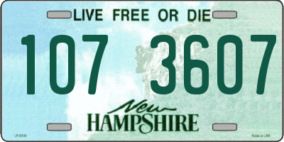 NH license plate 1073607
