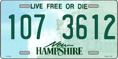 NH license plate 1073612