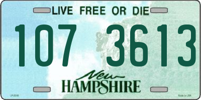 NH license plate 1073613