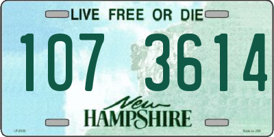 NH license plate 1073614