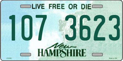 NH license plate 1073623