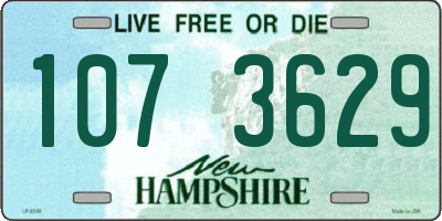 NH license plate 1073629