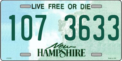 NH license plate 1073633
